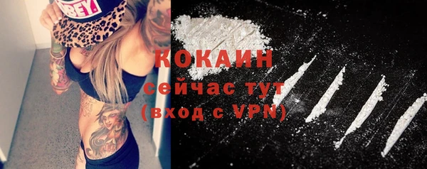 прущая мука Горняк