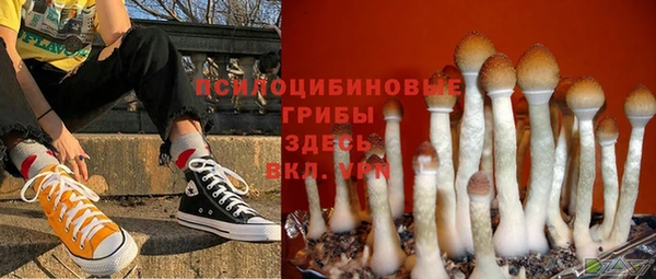 ALPHA-PVP Горнозаводск
