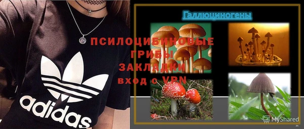 прущая мука Горняк