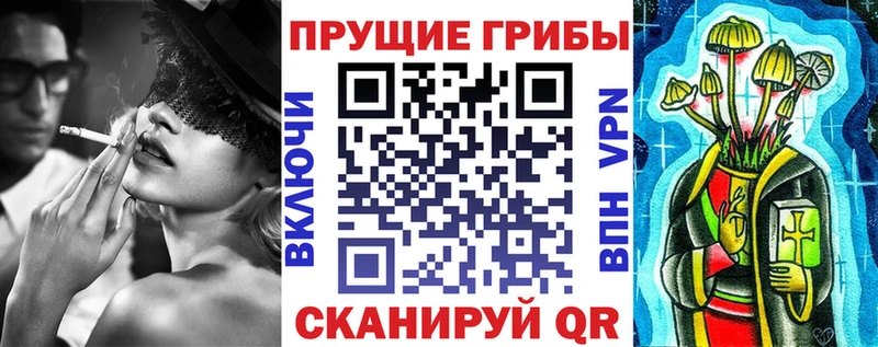 гидра онион  Магас  Псилоцибиновые грибы Psilocybine cubensis 