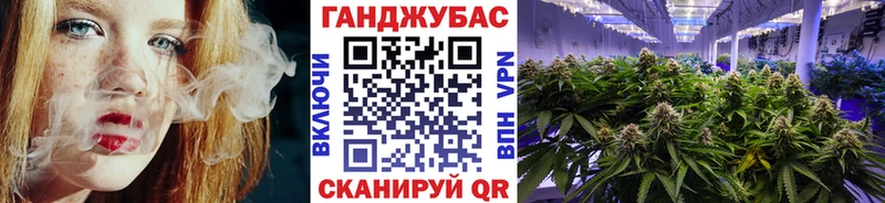 купить   Магас  Шишки марихуана сатива 